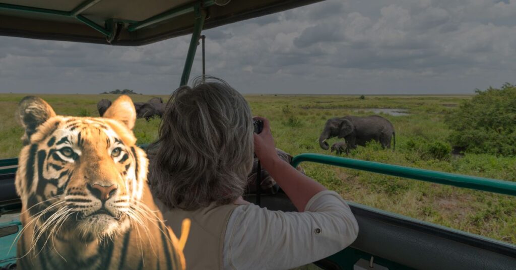 Kathmandu to Chitwan National Park.