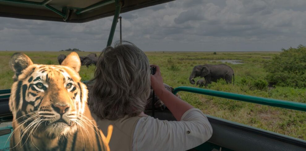 Kathmandu to Chitwan National Park.