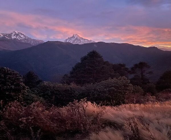 Ghorepani Poon Hill Trek