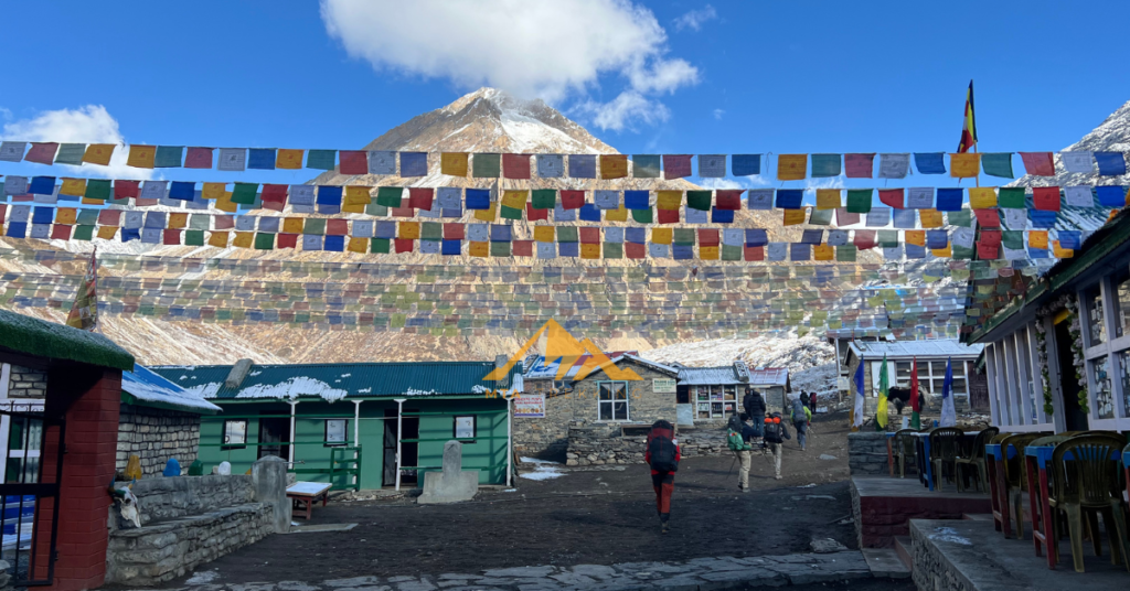 Houses to stay or have food in annapurna 
