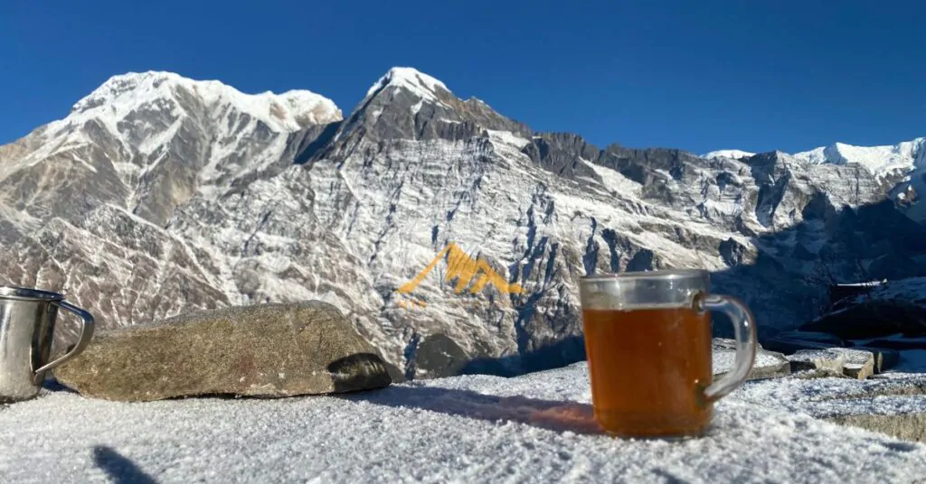 Tea in Mardi Himal Trek